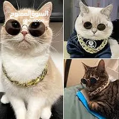  8 نظارات قطه او كلب بيبي شمسيه او قراءه تناسب جميع الانواع قطة  سكوتش انغوارا  شيرازي و لكل الاعمار لا