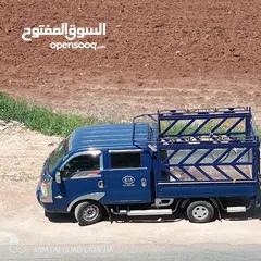  1 كيا للبيع أو بدل بنجو بنقو بينجو بورتر فرنتير