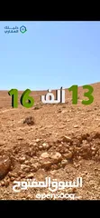  1 ارض مميزة على طريق جرش - الزرقاء قرب دوار السخنة اسعار تبدأ من 13.000 فقط!