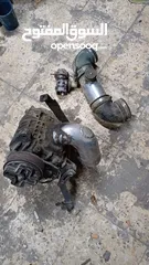  30 قطع بوز نمر