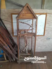  3 مطير عصافير