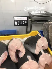  5 ‏للبيع سمك