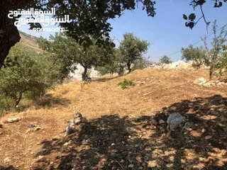  3 قطعه ارض للبيع