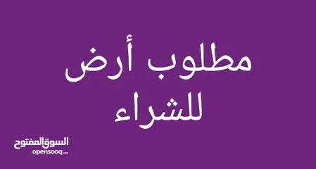  1 مطلوب  شراء ارض في طريق المطار