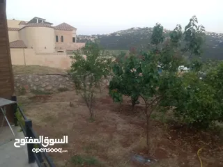  4 كوخ خشبي تصميم اوروبي مفروش اطلاله رائعه السعر 56000 ... من المالك مباشره ...