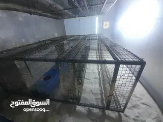 2 رفوف حديد وكالة للبيع خاصة للزراعة و تربية الحيوانات و الرجاء التواصل على الواتس اب