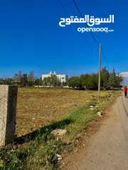  3 ارض للبيع سكنية بشرى (الدغيم)
