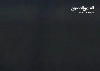  9 قطط جاهزة لبيتها الجديد