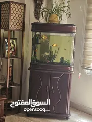 1 حوض سمك للبيع يشمل الاسماك وكل مستلزمات الحوض