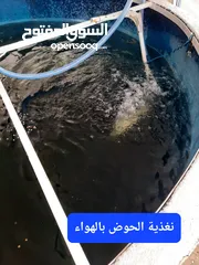  11 حوض لتربية جميع انواع السمك