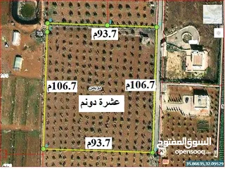  3 قطعة من اراضي شمال عمان موبص زراعية مربعة 10 دونمات لها واجهة كبيرة على الشارع الدونم الواحد 