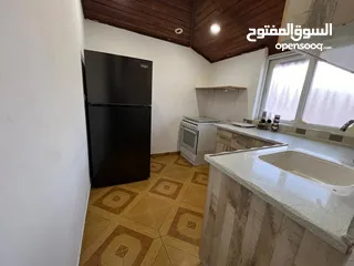  8 شقه رووف مفروشه للإيجار بشارع مار شاربيل / وادي معالي - Furnished Apartment for Rent Mar Charbel St