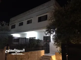  16 عمارة من 3 شقق مساحة 320 م وارض فارغة ياجوز منطقة الرشيد حي جعفر قرب اخر موقف للباصات