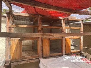  1 Big Hand Made cage for birds