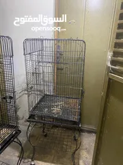  1 قفصين كاسكو للبيع