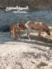  1 حاجات حلوه