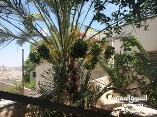  3 بيت 3 طوابق للبيع