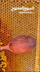  31 شركة الطيبات -للعسل ومنتجات النحل .