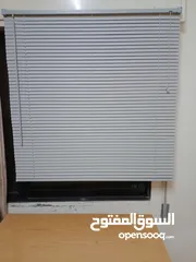  11 برادي زيبرا جديدة بالكرتون للبيع