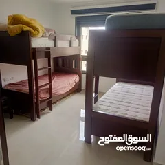  3 شقة مفروشة للايجار في الماصيون