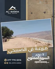  7 مزرعة في السلط الصبيحي مميزة مع سعر مميز مباشرة مع المالك