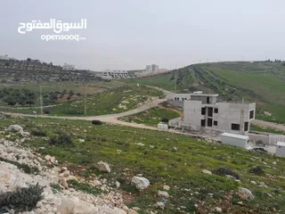  3 أرض للبيع السرو ابو طارة الشرقي مطلة - 500 متر