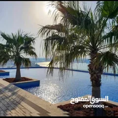  2 1 bedroom seaview apartment for sale in dilmunia island