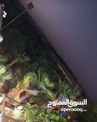  11 مزرعة مميزة و مشجرة للبيع بسعر مغري