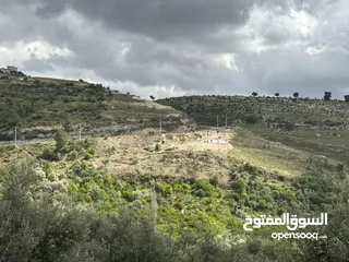  14 استراحة استثماريه للبيع مطله على وادي الريان قوشان مستقل 3،5 دونم مشجرة بالكامل مع مواقف سيارات