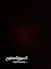  4 تخم قنفات مستعمل