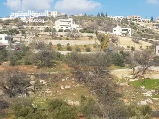  2 ارض للبيع في ابو علندا المساحة 500 متر اعلان رقم 687
