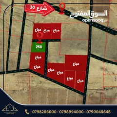  2 "مشروع خان الزبيب: تملك أراض مميزة جنوب عمان!" حوض 6 بسعر مميز