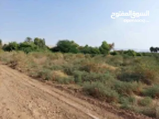  2 ارض للبيع لشاليه منطقة شاليهات الغور شميساني الغور دونم