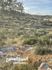  1 ارض مميزة. للبيع
