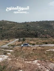  1 ارض للبيع في أراضي بزاريا