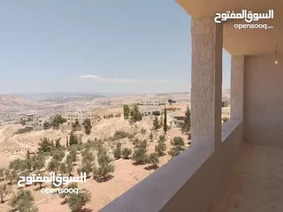  8 شقة طابقية للبيع في ابو نصير