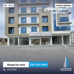  5 building(1010)falaj majees road/ طريق مجيس