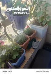  9 طاولتين خشب للبيع