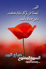  1 مطلوب حبه كنار مخملي