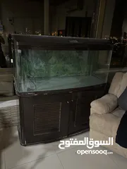  1 حوض سمك للبيع