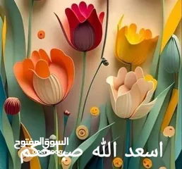  1 شقه للايجار