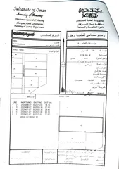  2 أرض زراعية للبيع في اليحمدي (ولاية إبراء)