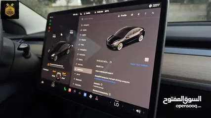  10 Tesla Model 3 Standard Plus 2023