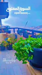  13 شقة من المالك مباشرة