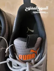  29 حذاء .Puma  اصلي بحال الوكاله لساته جديد وارد أروبي  الواحد ب 35