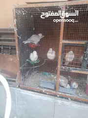  4 حمام ياكريم للبيع