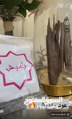  8 عطور زين الأطياب