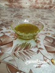  2 زيت زيتون جديد 2025، زيتون ترمسعيا