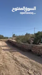  6 ارض للبيع في بلعا