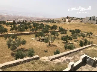  12 مزرعه للبيع في السلط مساحة الأرض 4218م مساحة البناء 450م